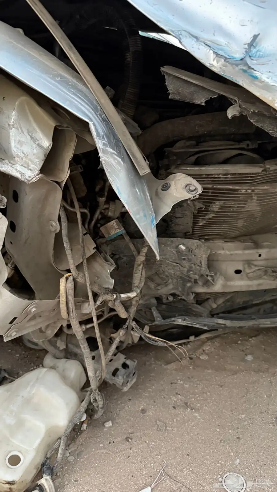 تورس 2015 6