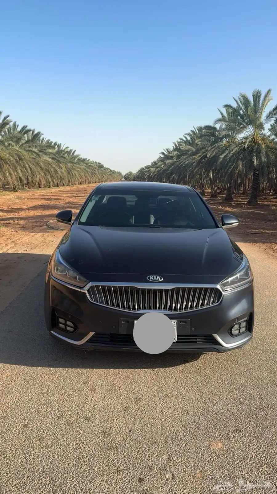 كادينزا K7 ديزل 2
