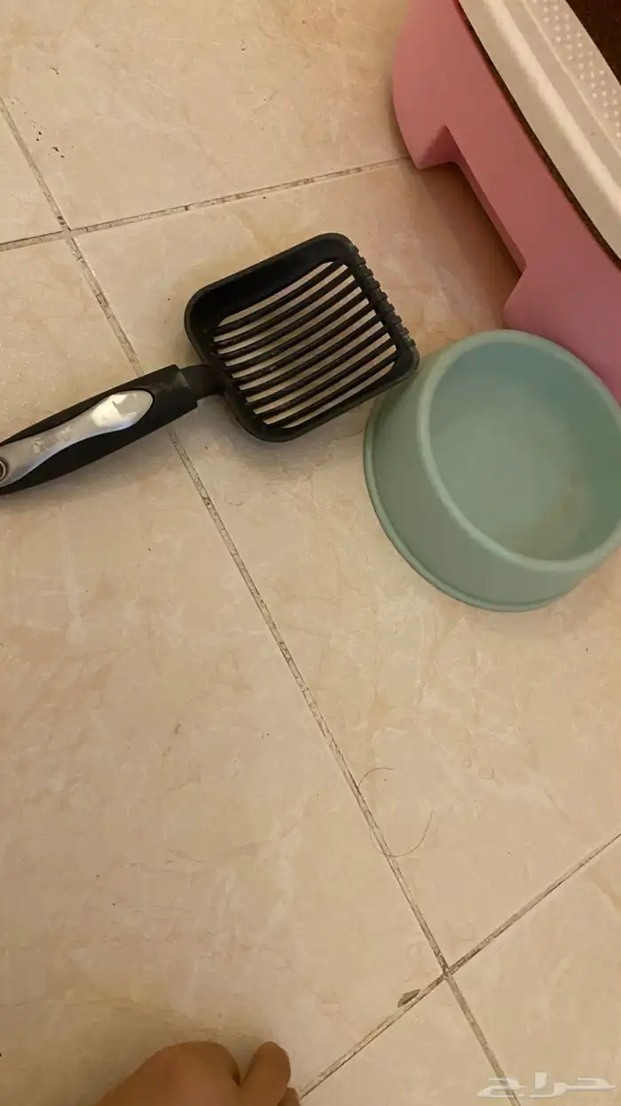 ادوات قط 3