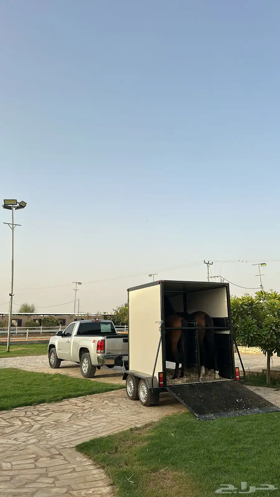 عربه راسين نقل خيل جديده 0
