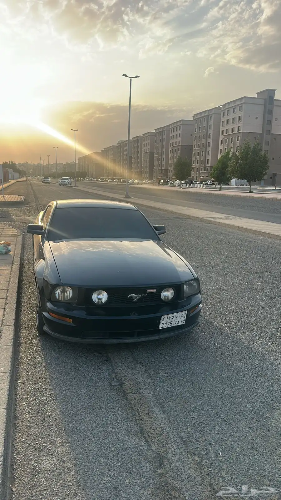 للبيع 5