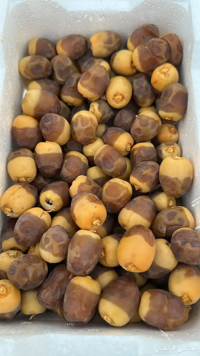 رطب روثانه معليه كلام يوجد جمله وصمغ سلم وسمر كله موجود 0