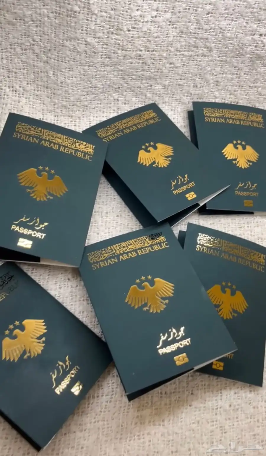 سوريا كفر الجواز الهويه الجديده 0