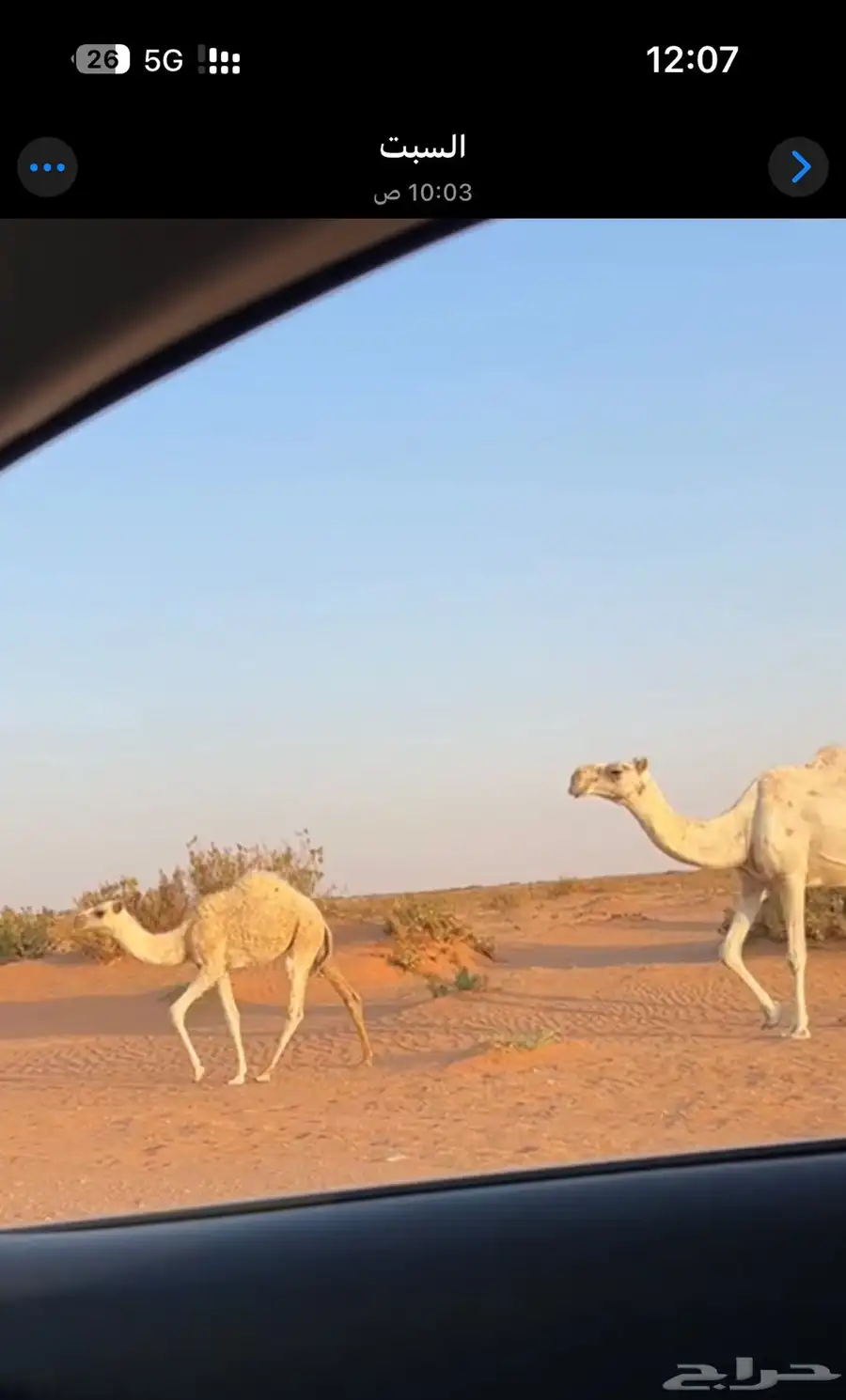 خلفه رمانيه للبيع 1