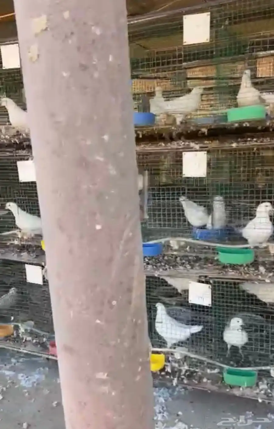 حمام فرنسي منتج مفروز 2