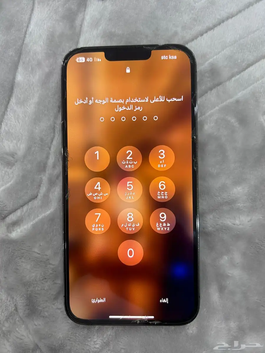 ايفون 13 برو ماكس - iPhone 13 Pro Max 3
