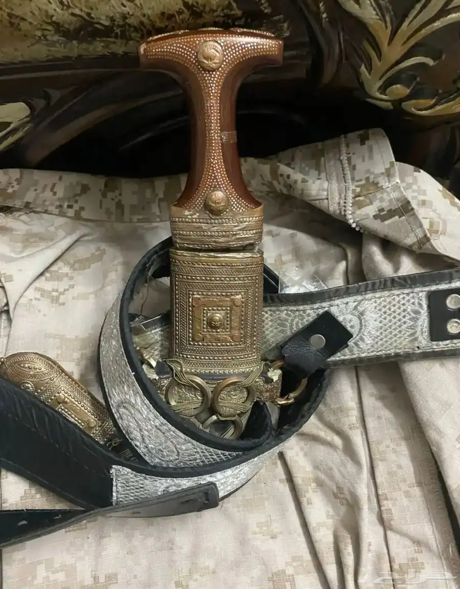 جنبيه 2
