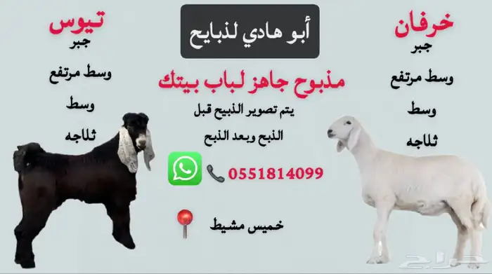 ذبح وتوصيل 0