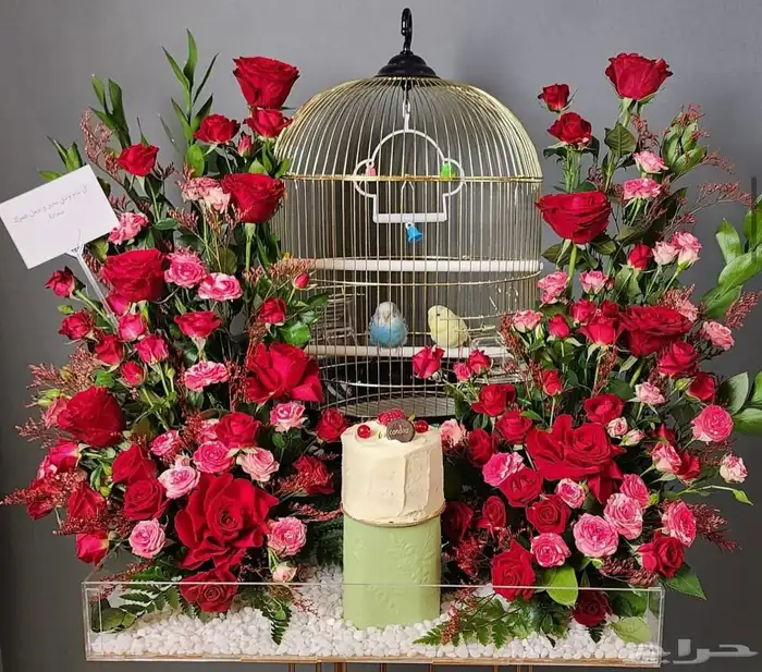 هدايا خميس مشيط ابها 7