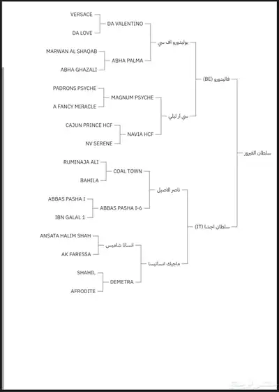 حصان فاخر للبيع 2
