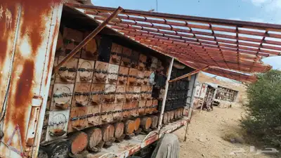 نحل للبيع بعربياته مع عربية العزبه 0