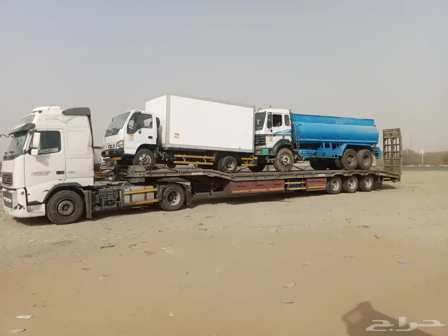 لوبد متواجد بحايل 1