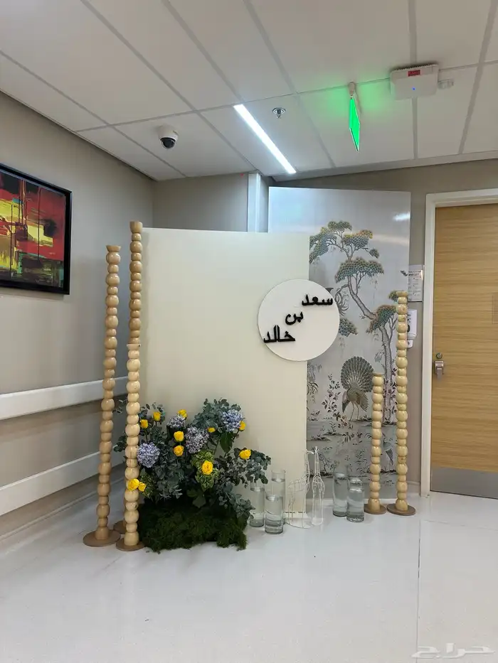 إستقبال مواليد 6