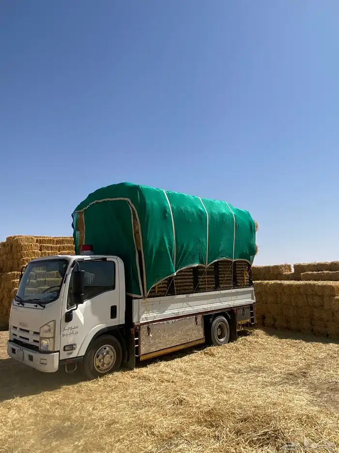 دنه دينا دنا الدوادمي توصيل اثاث 2