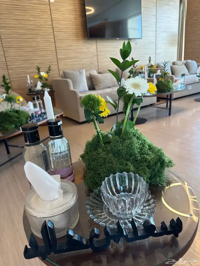 إستقبال مواليد 13