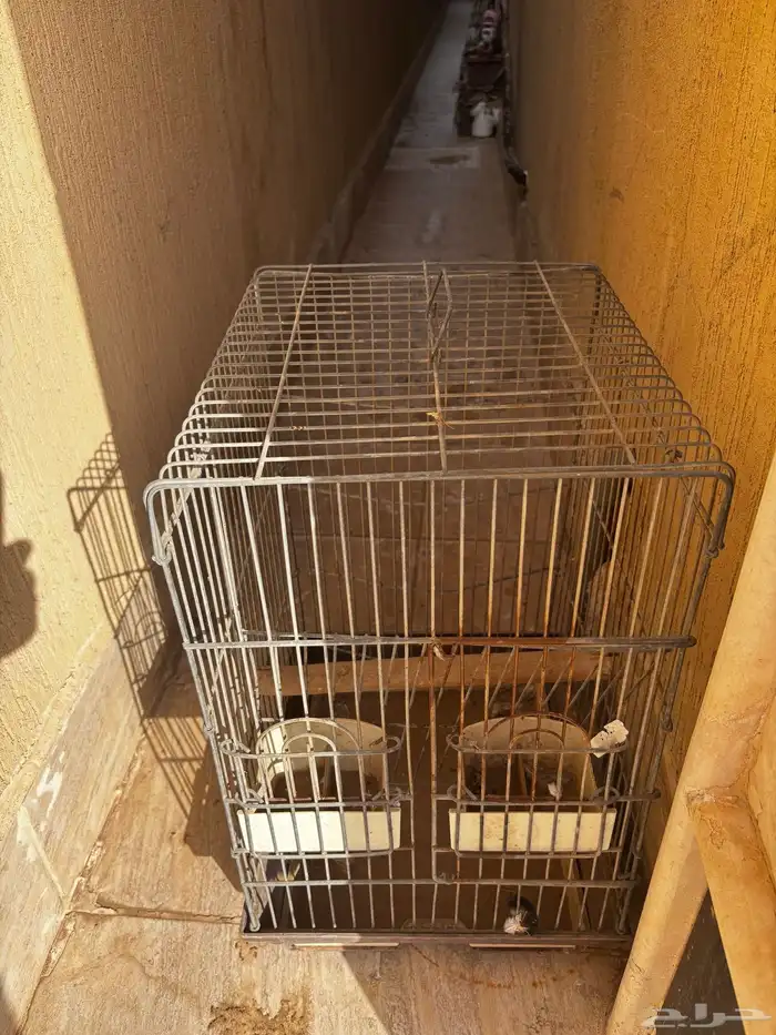 قفص طيور 3