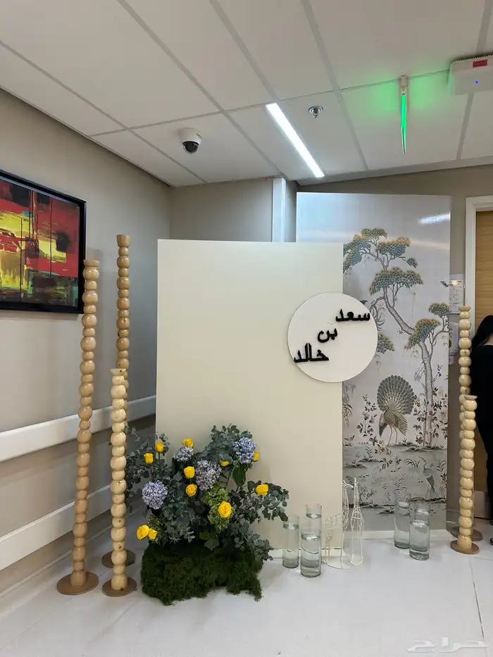 إستقبال مواليد 8