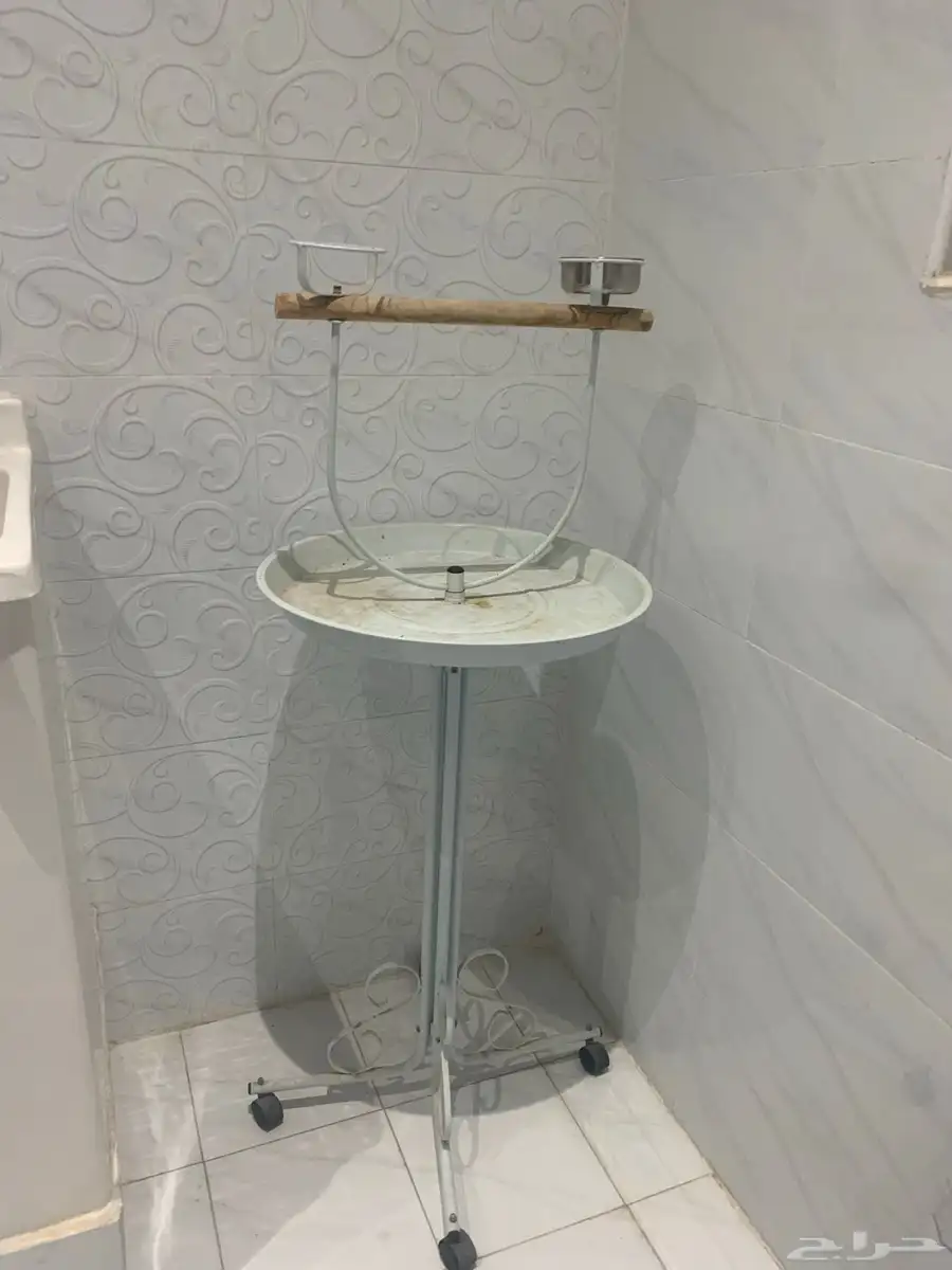 طيور 0