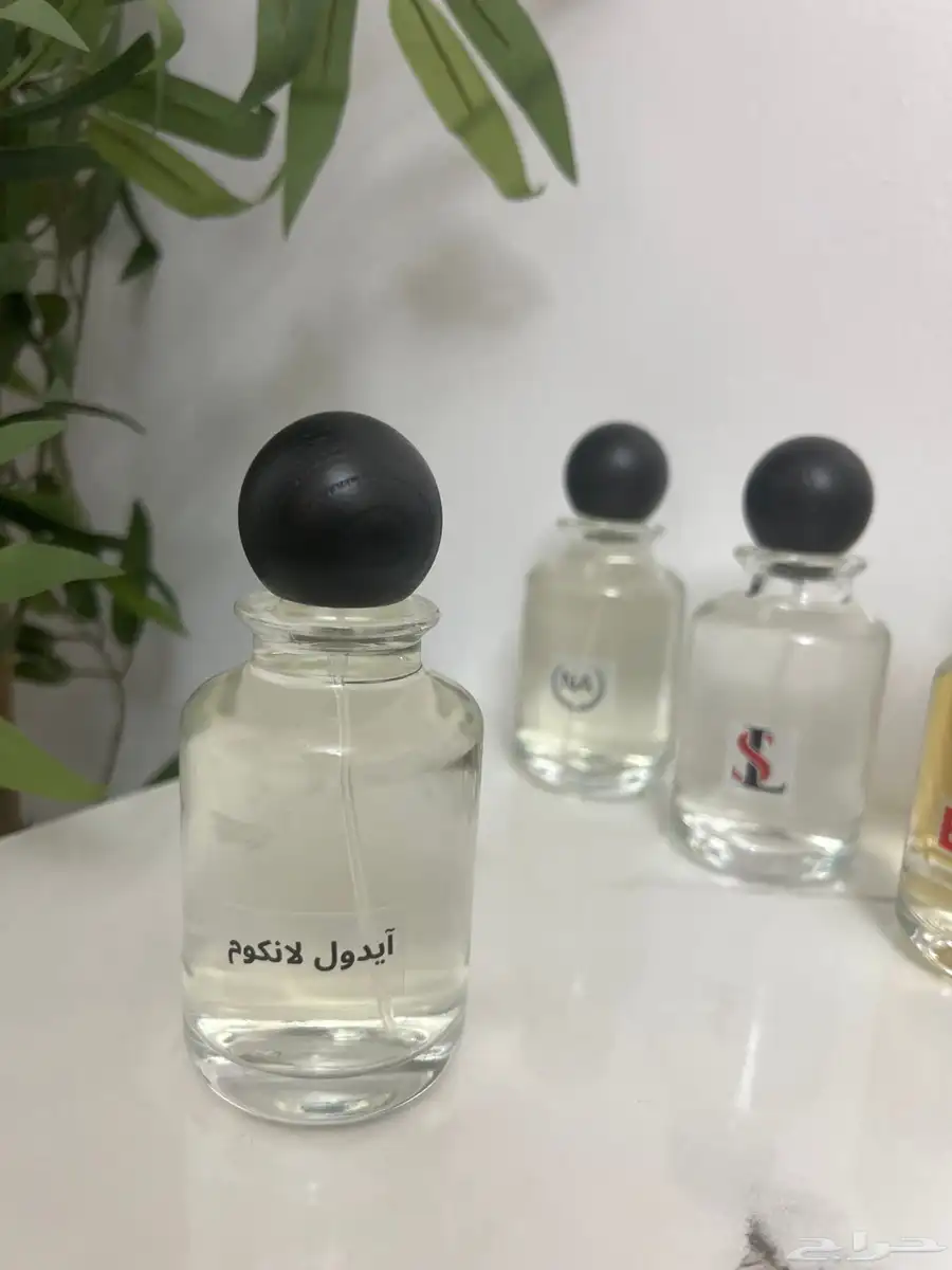 عطور مستوحاه عروض للكميات 3
