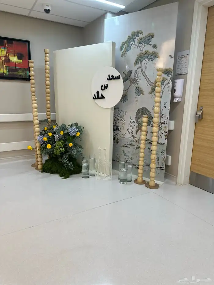 إستقبال مواليد 3