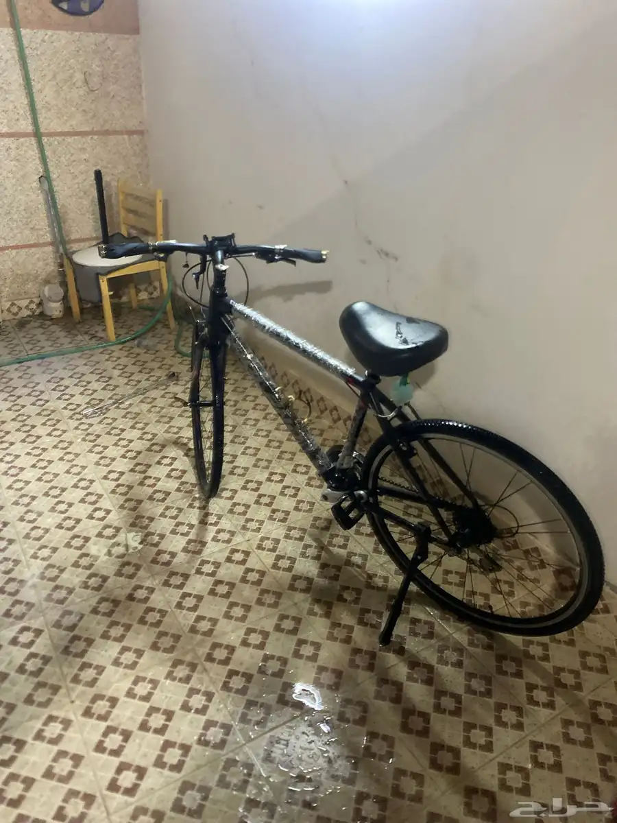 سيكلا نضيف index