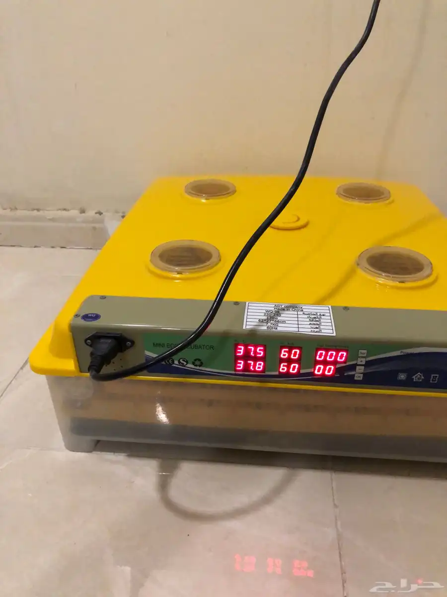 فقاسه 98 بيضه 5