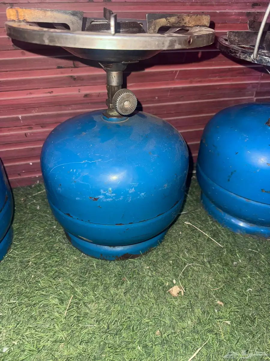 3 دوافير بريموس سويدي 2
