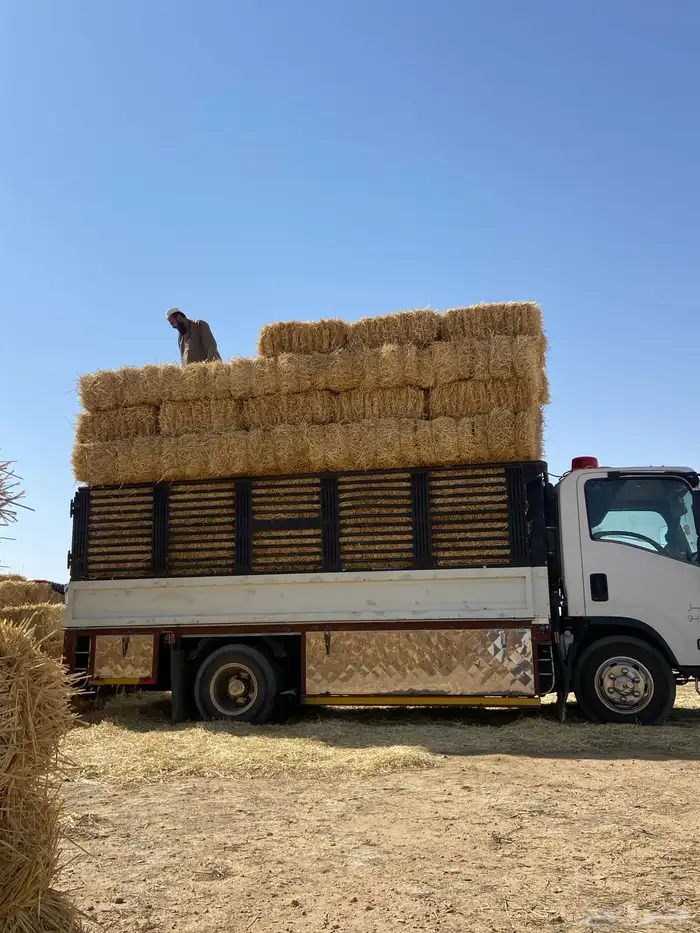 دنه دينا دنا الدوادمي توصيل اثاث 1