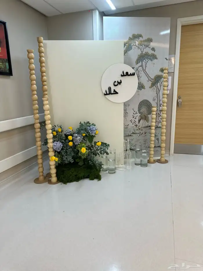 إستقبال مواليد 2