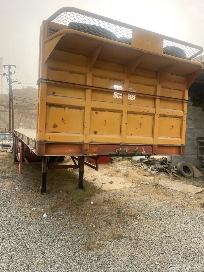 تيدر المطلق 0