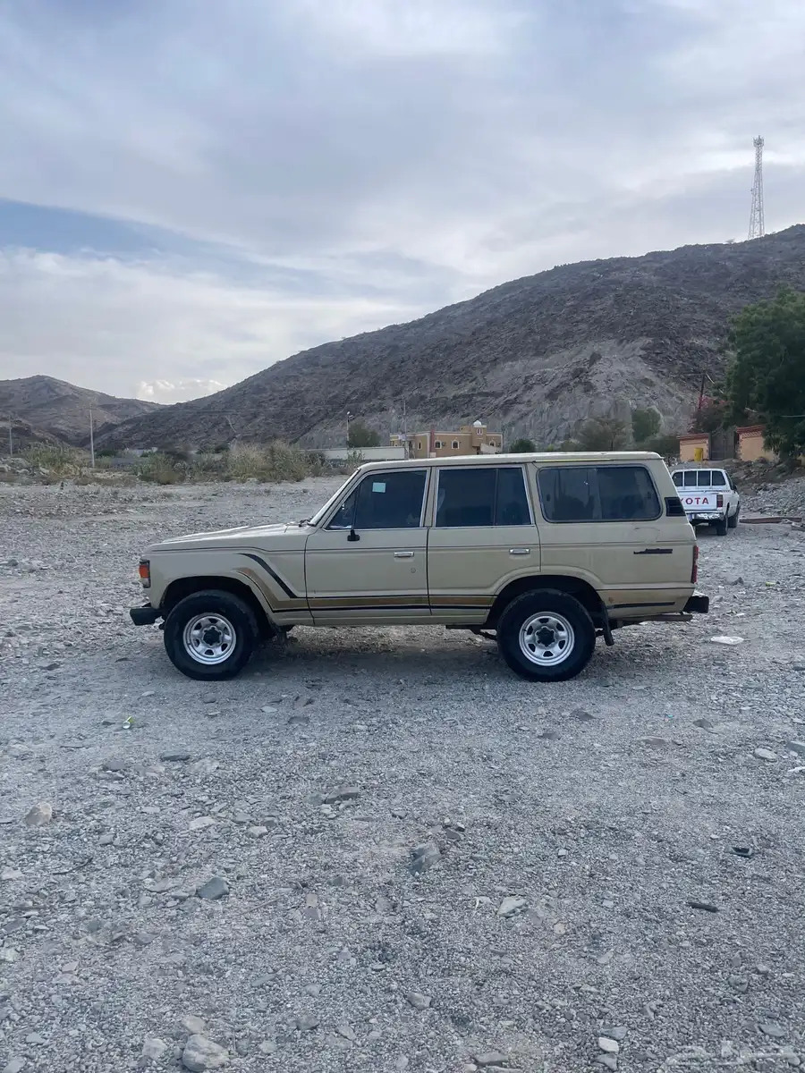 يوجد صالون و جيب 1