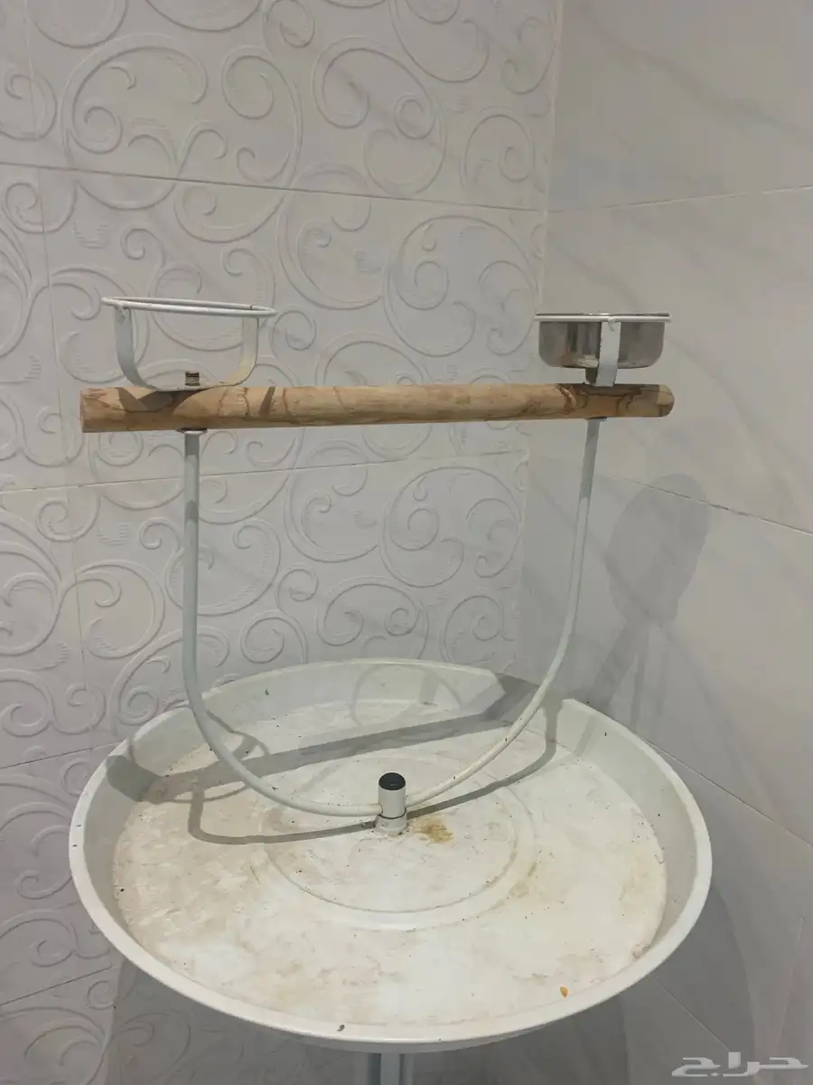 طيور 1