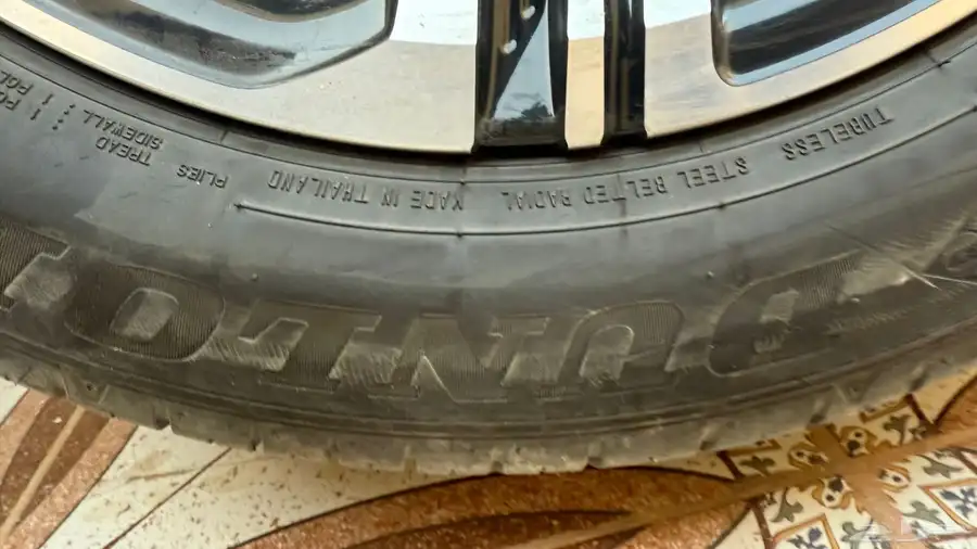 جنوط يارس 4