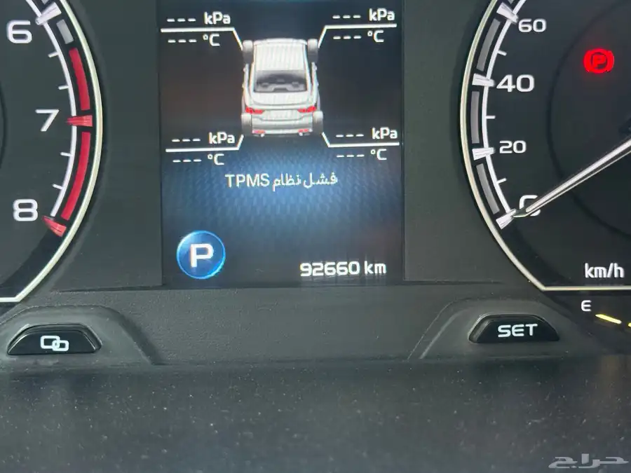 جيلي بينراي (الوعلان) 2020 مباعة 14