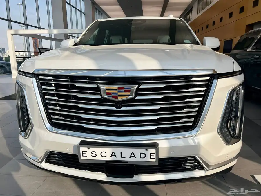 CADILLAC ESCALADE PLATINUM 10
