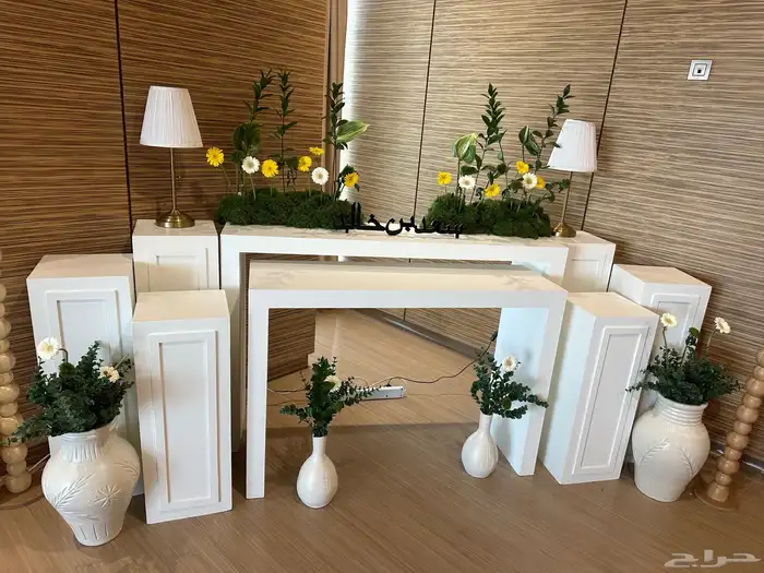 إستقبال مواليد 7