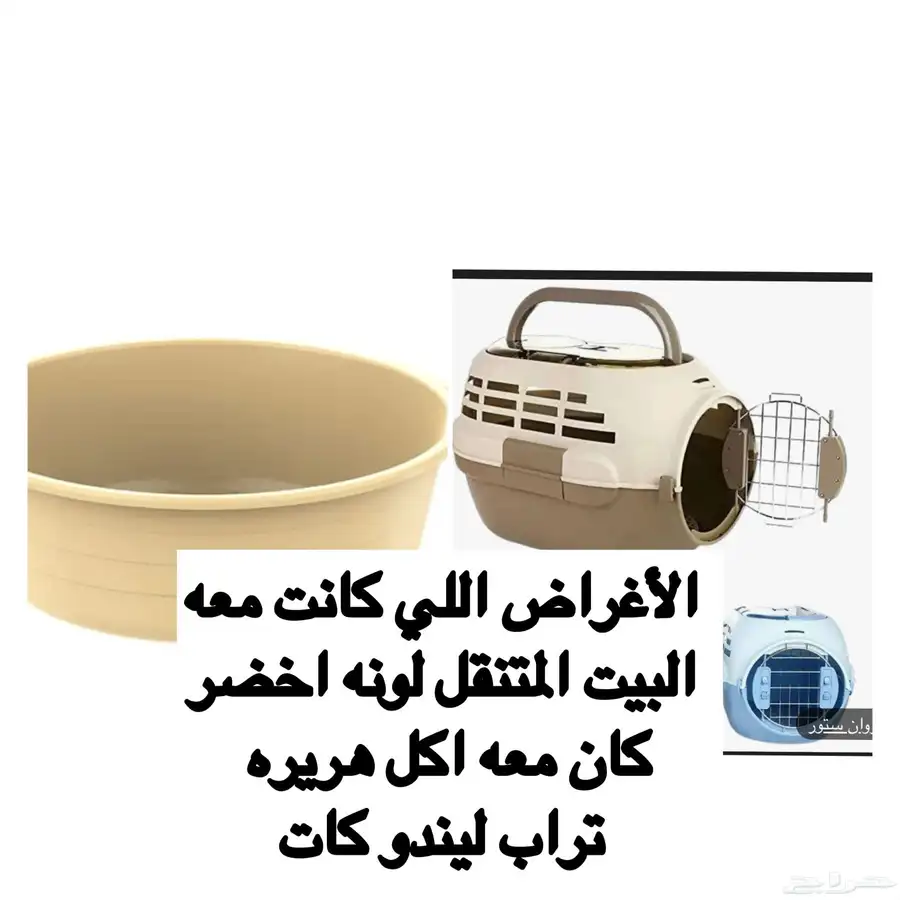 قط مفقود في الرياض 4