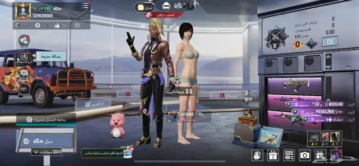 حساب ببجي للبيع على السوم 14