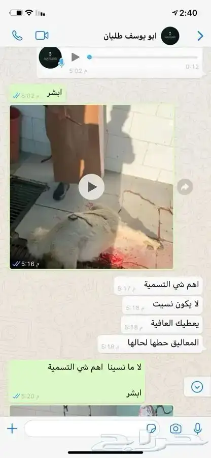 طليان ورخال حري مع السلخ ولتوصيل 15