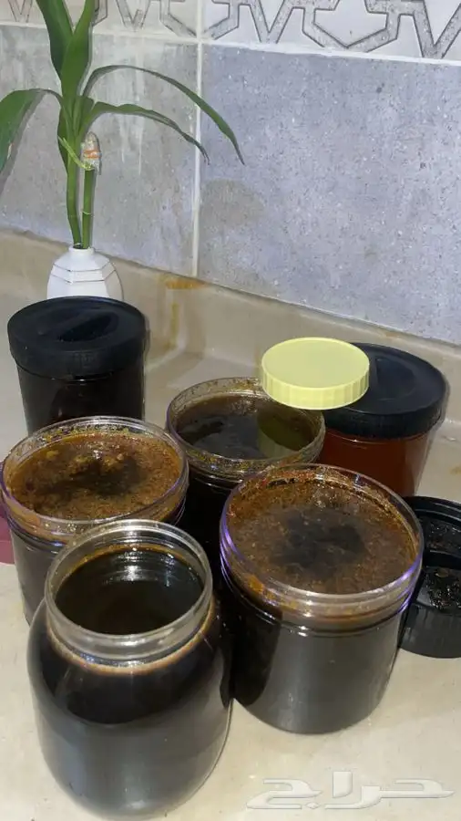 عسل اصلي من قمم جبال المضيق 0