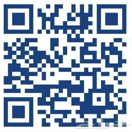 دونج فينج شاين E1 2025 10