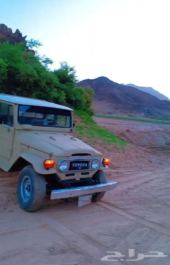 شاص 79 خمس نمر بآلريوس 0