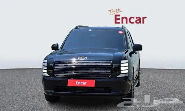 هيواندي باليسيد موديل2025 1