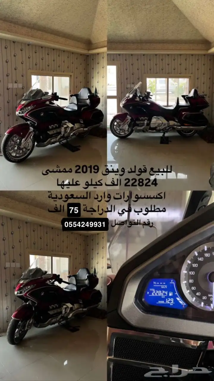 للبيع قولد وينق 2019 6