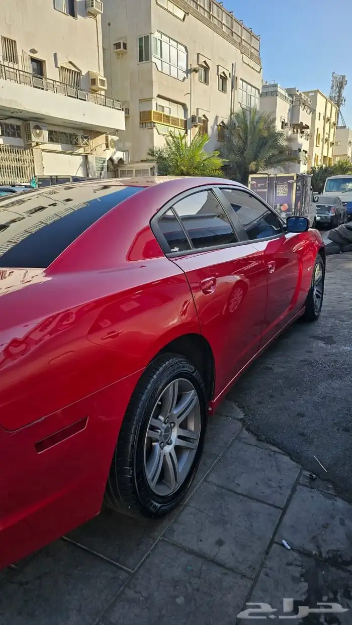 دوج تشاجر 2013 6