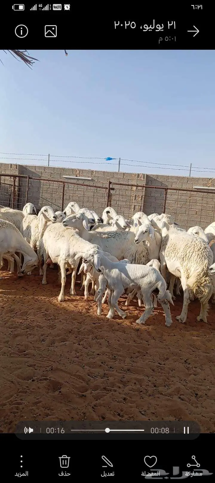 للبيع حريات حرش طيبه دفيع ومتابيع 0