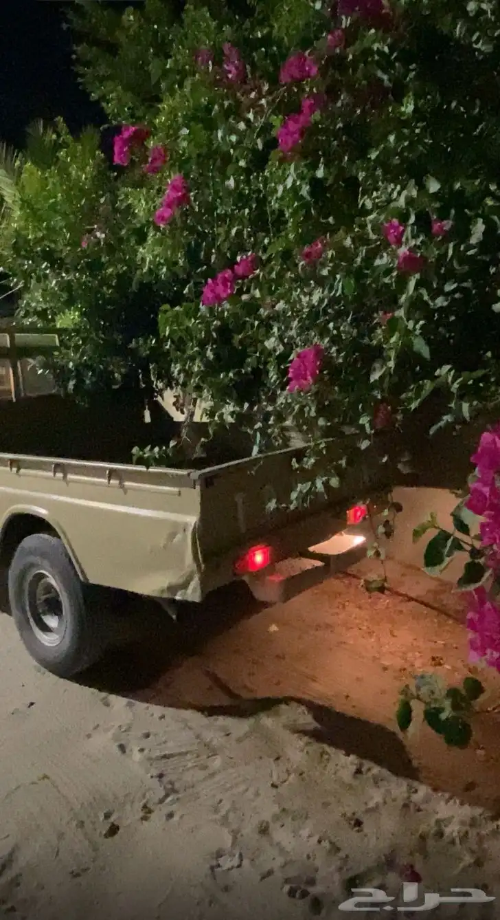 شاص مديل1984 نضيف شرط 1