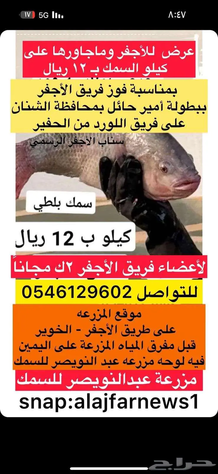 سمك بطلي 0