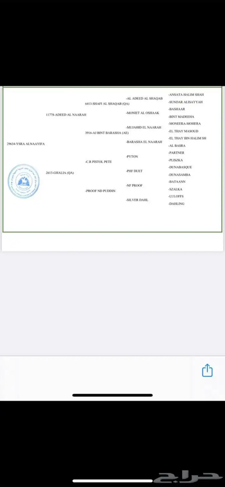 فرس واهو 1