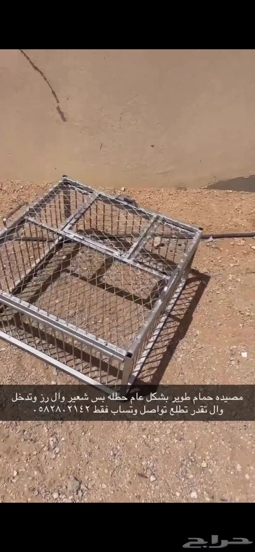 مصيده طيور 0